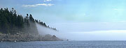 Fog Stream!