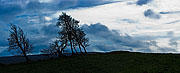 Sapphire Sky (I)